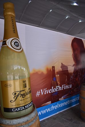 Cavas Freixenet Wine Tour From Mexico City - Highlights of the Tour