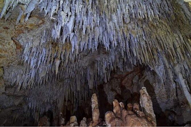 Cave Adventure: Walk, Climb & Swim - Customer Praise and Highlights