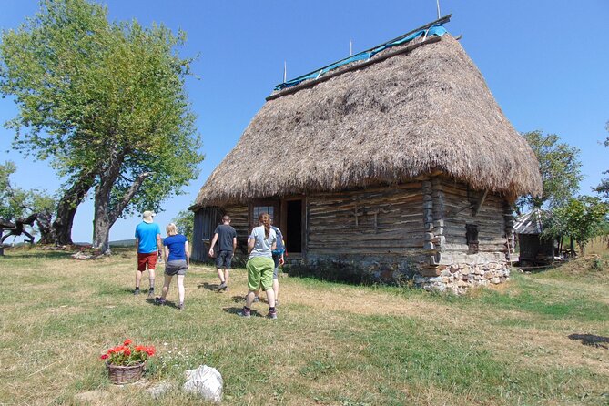 Cave, Hike, Bike and Explore the Western Carpathians,Transylvania,Romania - Accommodations and Dining Experiences