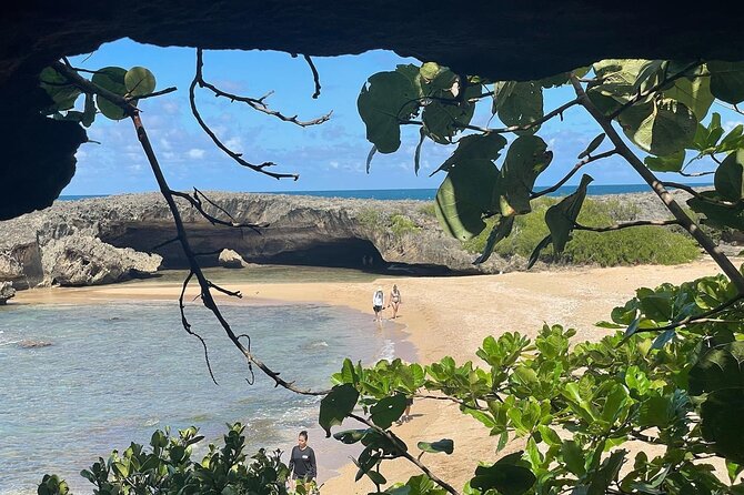 Cave Hopping Tour - Knowledgeable and Engaging Guides