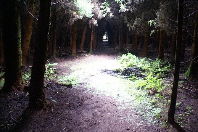 Cave Tour in Terceira - Accessibility and Requirements