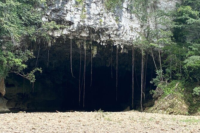 Cave Tubing Paradise and The Howler Monkey Sanctuary - The Sum Up