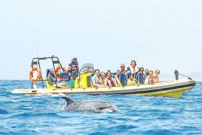 Caves and Dolphin Watching Cruise From Albufeira - Inclusions and Exclusions
