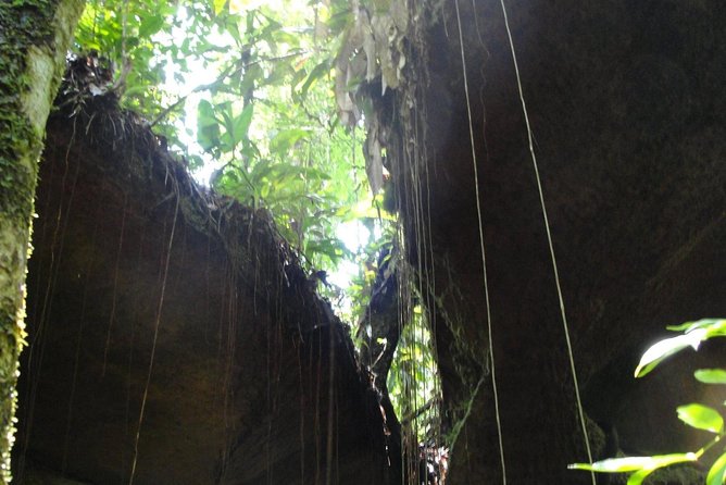 Caves and Waterfalls Day Tour - Constructive Feedback