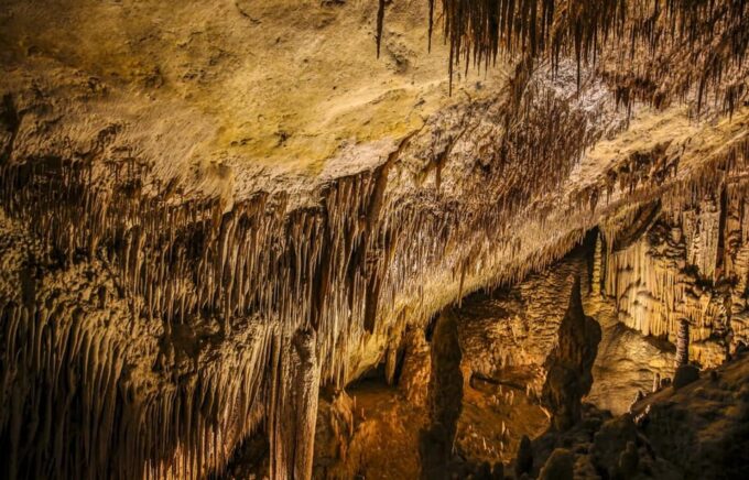 Caves of Drach: Entrance, Music Concert and Boat Trip - Boat Ride on Lake Martel
