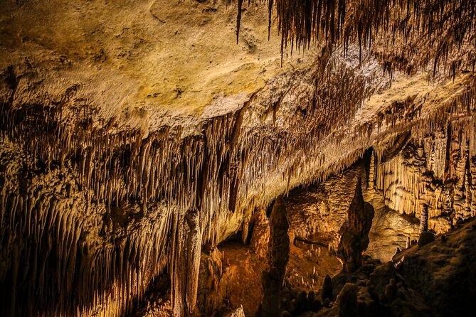 Caves of Drach Tour From Magaluf and Santa Ponsa - Inclusions