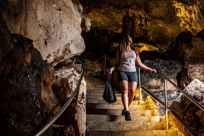 Caves of Drach Tour From Magaluf and Santa Ponsa - Travel Experience