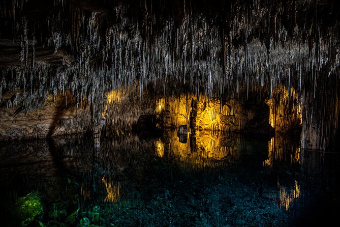Caves of Drach Tour From Magaluf and Santa Ponsa - Transportation Considerations