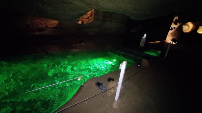 Caves Prehistory of Esplugues Francolí With Hotel Pickup - Coves De Lespluga Exploration