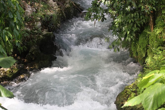 Caving at Roaring River - About Your Stay