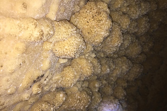 Caving Tour & Hiking at Barra Honda National Park - Pricing and Booking