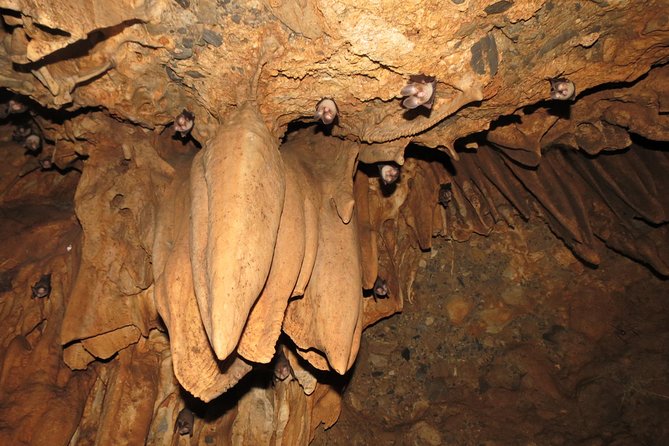 Caving Tour in Rishikesh - 6 Hrs. - Key Tour Details