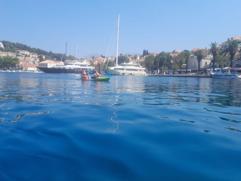 Cavtat: Guided Sea Kayaking Tour - Experience Highlights
