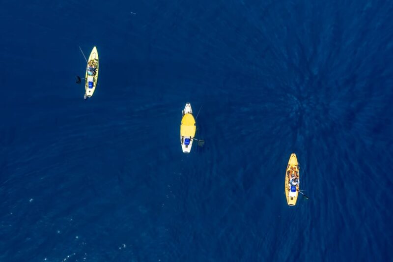 Cavtat: Sunrise or Sunset Kayak Fishing Trip - Experience Highlights