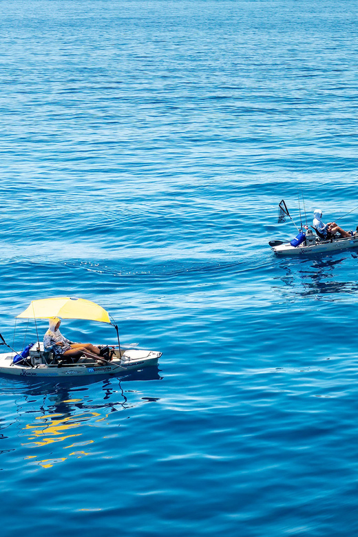 Cavtat: Sunrise or Sunset Kayak Fishing Trip - What to Bring and Restrictions