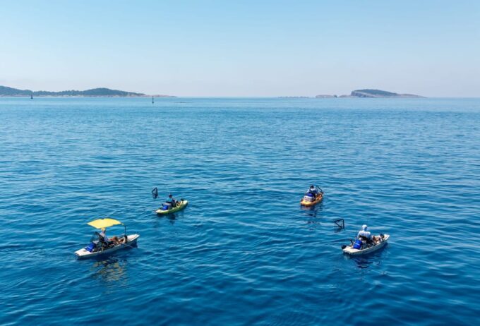 Cavtat: Sunrise or Sunset Kayak Fishing Trip - Targeted Fish Species