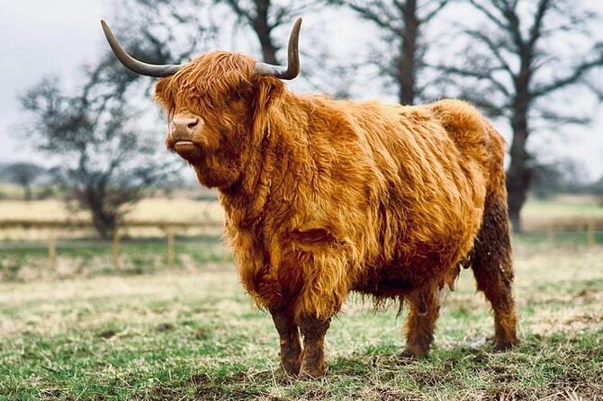Cawdor Castle, Inverness, Culloden, Outlander and Loch Ness Tour - Inverness and Beauly Priory