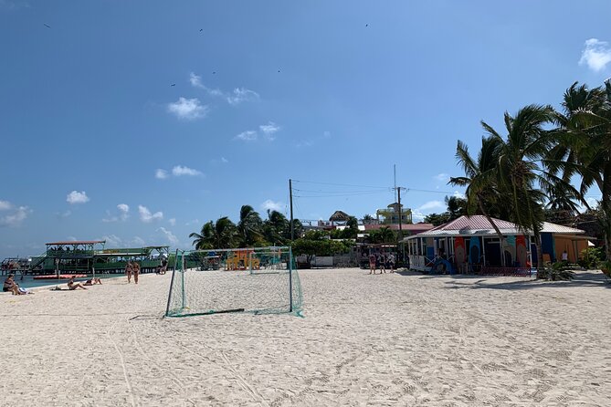 Caye Caulker Split Island Getaway and Tarpon Feeding - Customer Reviews and Recommendations