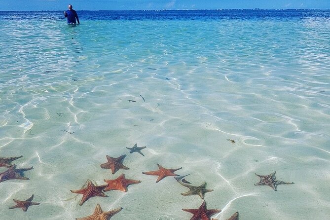 Cayman Adventure: Starfish Point, Stingray City and Coral Gardens - Testimonials and Host Responses