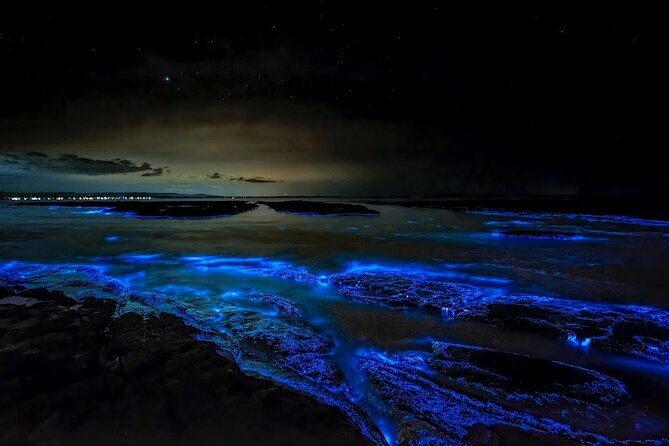Cayman Bioluminescent Bay Night Tour - Key Points