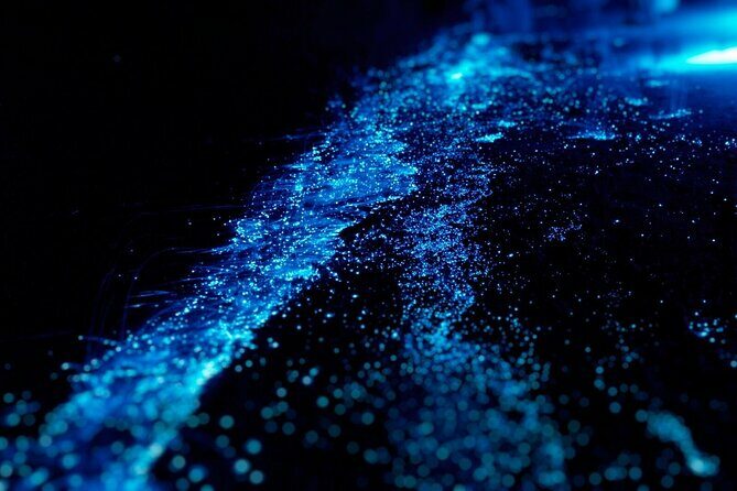 Cayman Bioluminescent Bay Night Tour - Exploring the Itinerary in Detail