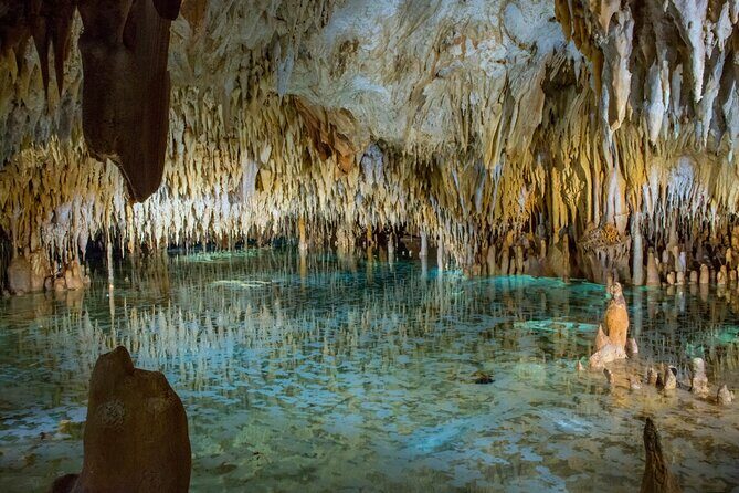 Cayman Combo Tour: Stingrays, Starfish Point and Crystal Caves - Key Points