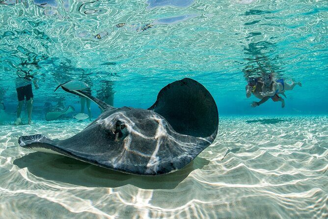 Cayman Combo Tour: Stingrays, Starfish Point and Crystal Caves - Final Takeaway