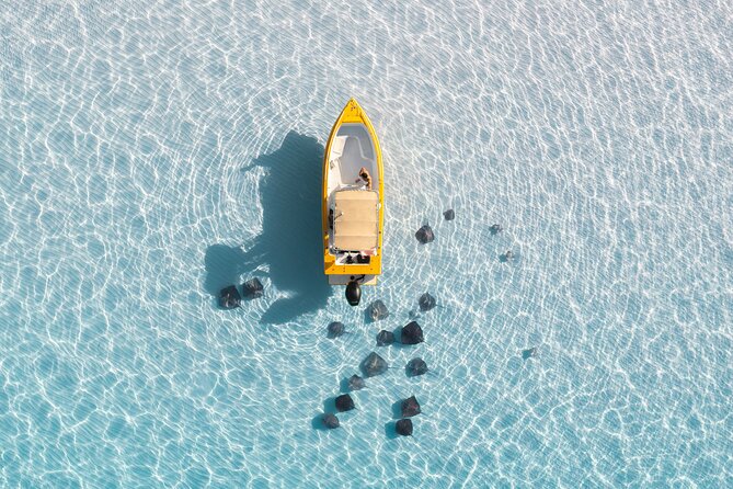 Cayman Private Luxury Charters - Stingray City, Snorkel, & More - Tour Activities