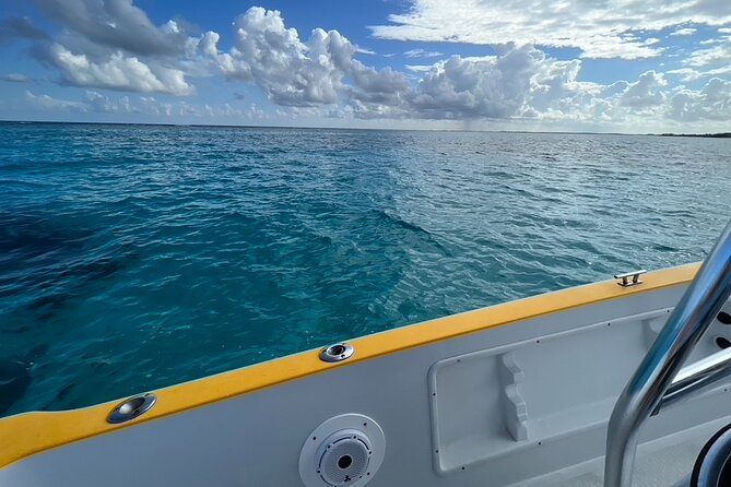 Cayman Private Luxury Charters - Stingray City, Snorkel, & More - Snorkel Gear