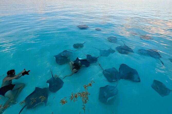 Cayman Private Luxury Charters - Stingray City, Snorkel, & More - Meeting and Pickup