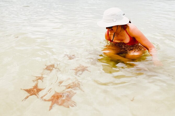 Cayman Private Luxury Charters - Stingray City, Snorkel, & More - Recommendations