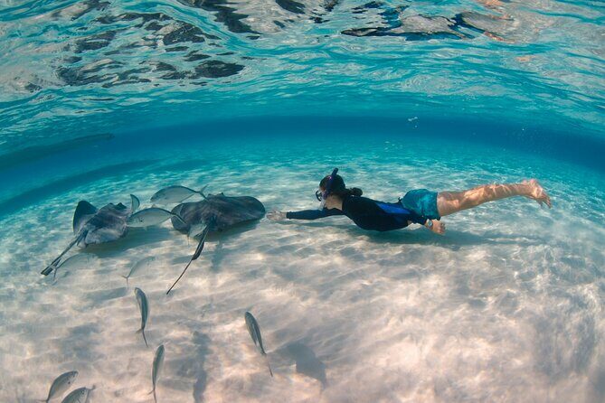 CaymanVisitor Hide & Seek GeoTour Self-Drive Tour - What You Can Expect from the Tour