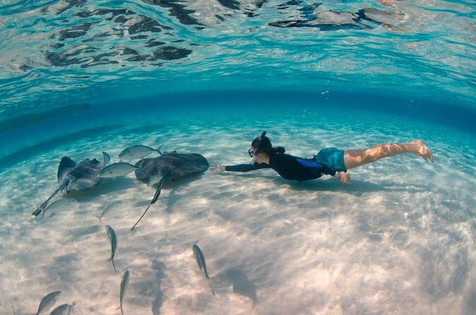 CaymanVisitor Hide & Seek GeoTour Self-Drive Tour - Practical Tips for Participants