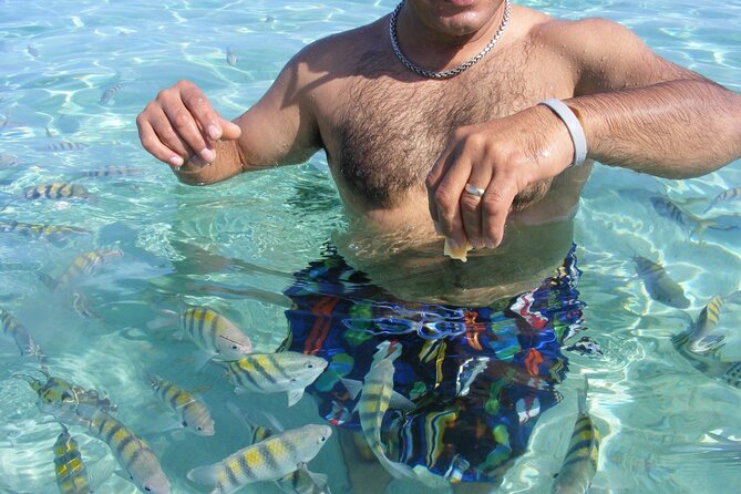 Cayo Arena and Mangroves Tour + Local Pick up and Lunch - Pickup Information