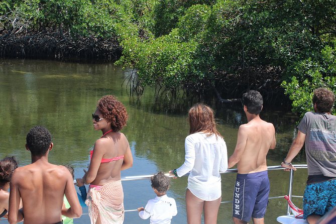 Cayo Arena Catamaran Cruise From Puerto Plata With Lunch - Snorkeling at Coral Reef