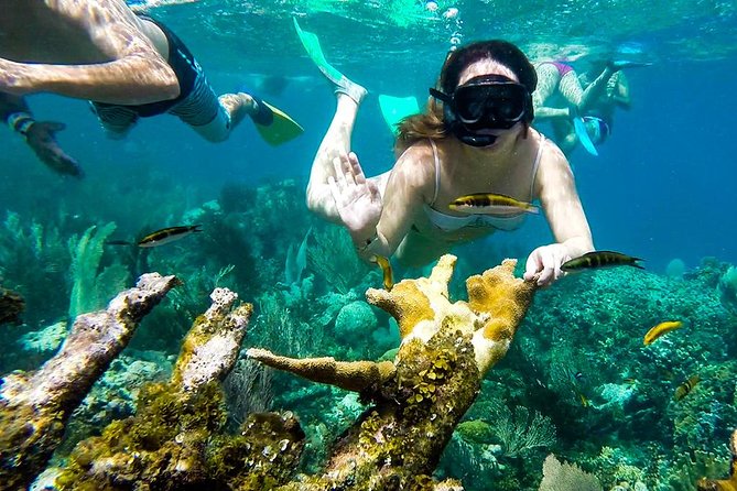 Cayo Arena Day Trip From Puerto Plata - Onboard Activities and Amenities