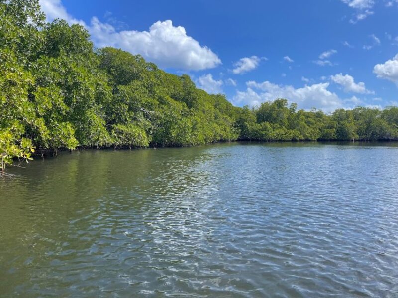 Cayo Arena: Paradise Island and Mangroves Private Tour - Key Points