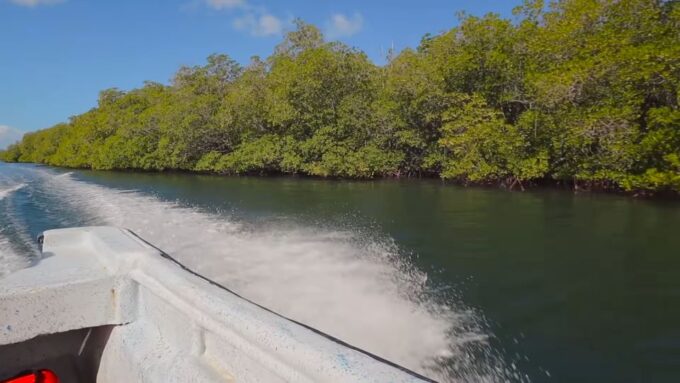 Cayo Arena: Paradise Island and Mangroves Private Tour - Important Information for Participants