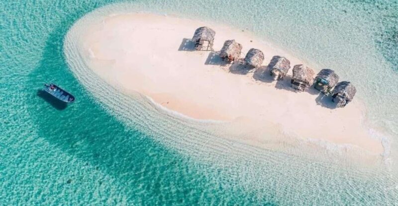 Cayo Arena: Paradise Island and Mangroves Tour - Customer Feedback and Testimonials