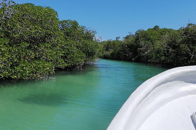 Cayo Arena, Paradise Island Tour - Constructive Criticism