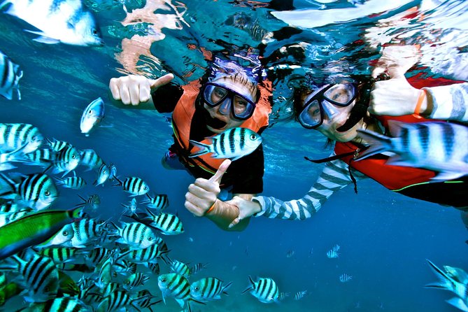 Cayo Levantado at Bacardi Island Including Boat Transfer, Lunch and Snorkeling - Accessibility and Policies