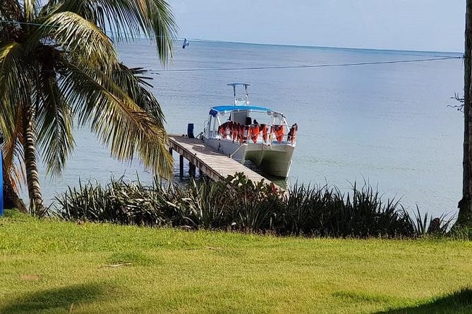 Cayo Levantado Whales Fun Day Experience From Punta Cana - Key Tour Details