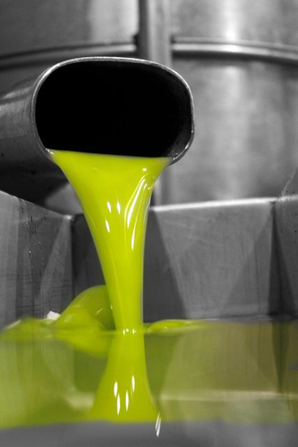 Cazorla: Oleotour - Olive Oil Culture Initiation - Cultural Significance