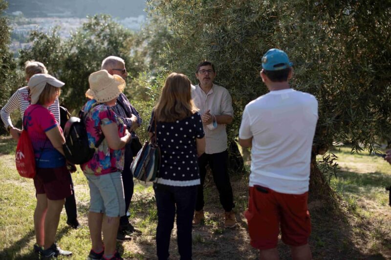 Cazorla: Olive Grove and Mill Tour - Guided Tour