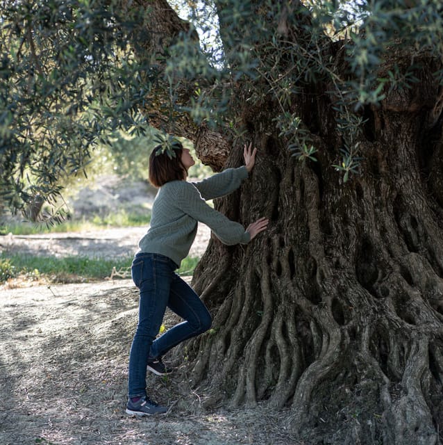 Cazorla: Olive Grove and Mill Tour - Mill Tour