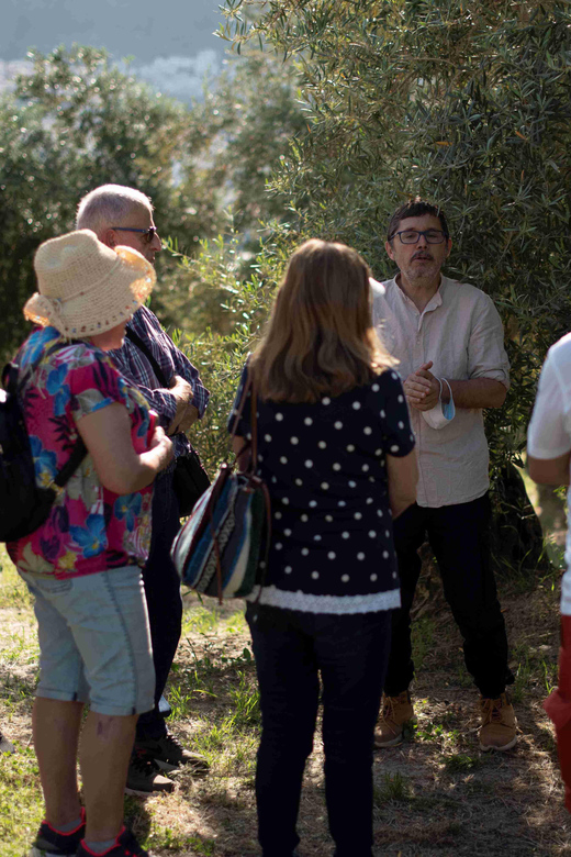 Cazorla: Olive Grove and Mill Tour - Food Tasting
