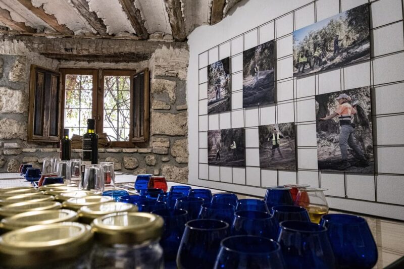 Cazorla: Olive Oil Tasting - Guided by Experts