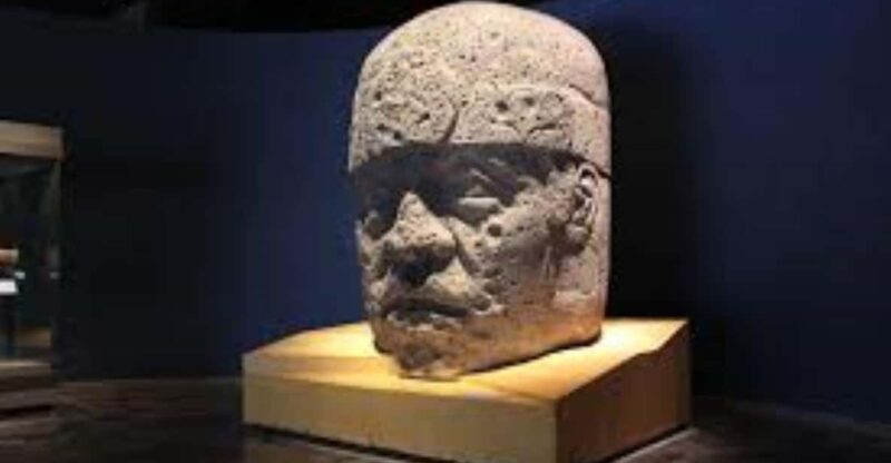 CDMX: Full-Day Museum Tour - Transportation and Logistics