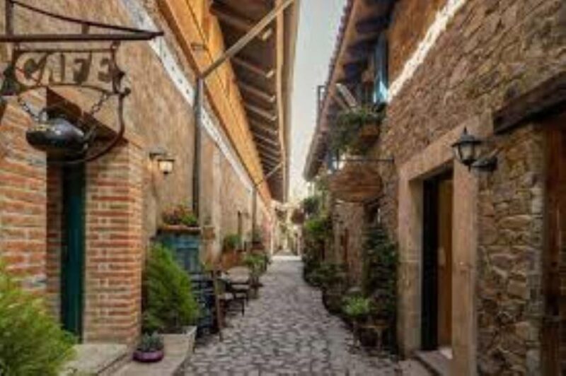 CDMX: Valquirico Day Tour - Transportation and Insurance