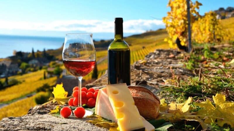 CDMX: Wine and Cheese Tour in Querétaro - Frequently Asked Questions